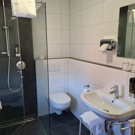 Schollmann Hotel 2*