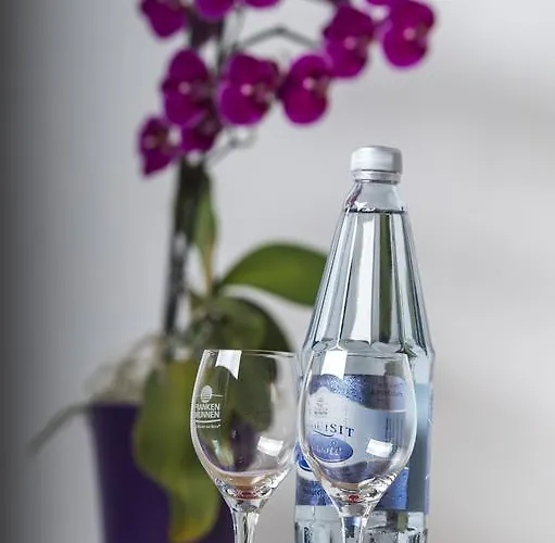 Отель Schoellmann 2*